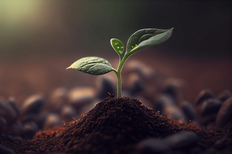 Environmental sustainability initiatives